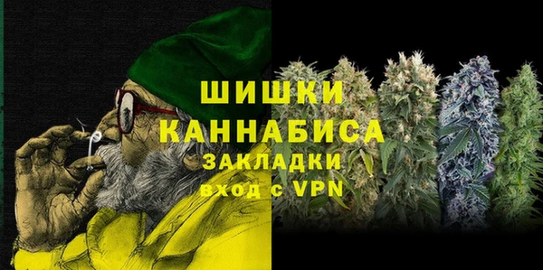 прущие грибы Арсеньев