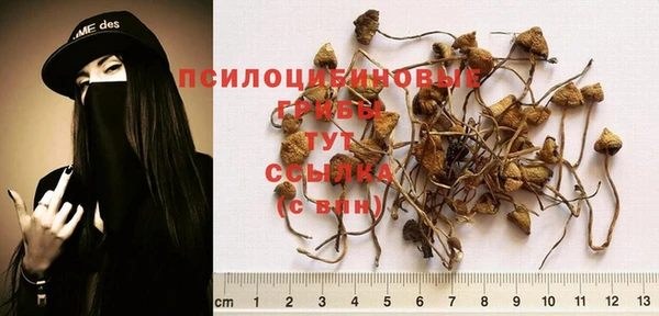 твердый Армянск