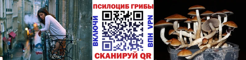 Псилоцибиновые грибы мицелий  Удачный 